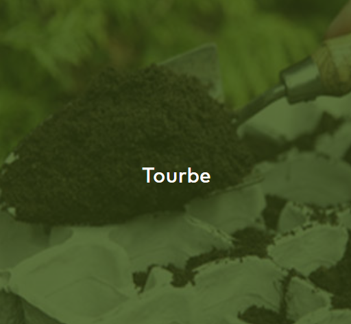 Tourbe