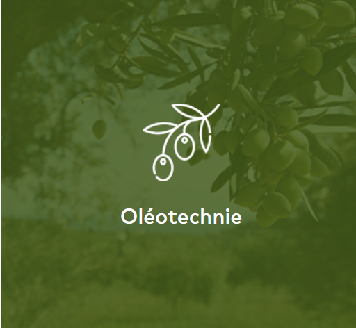 Oléotechnie